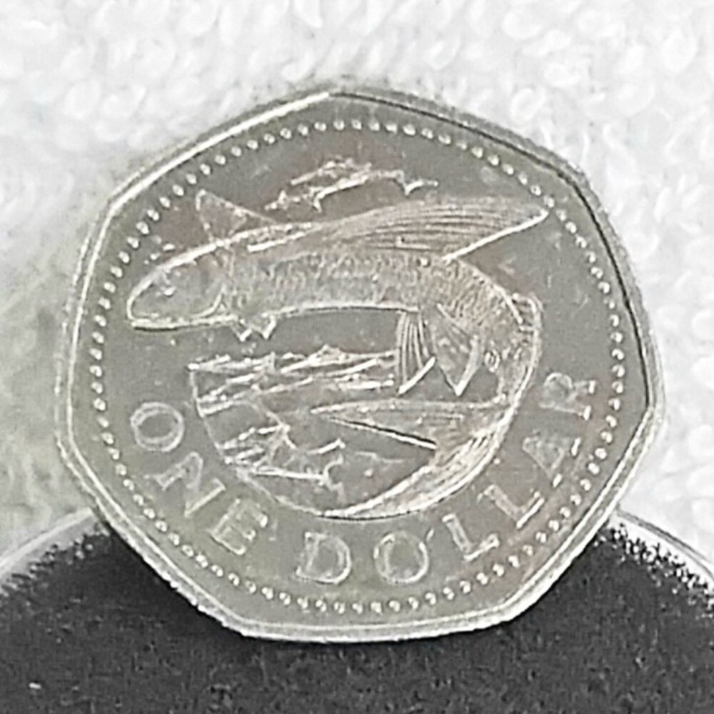 Circulated 2004 Barbados One Dollar Coin made of Copper/Nickel!!